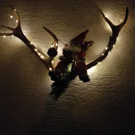 Haus Hubertus - Gaestehaus Sahler Lejlighed Partenen